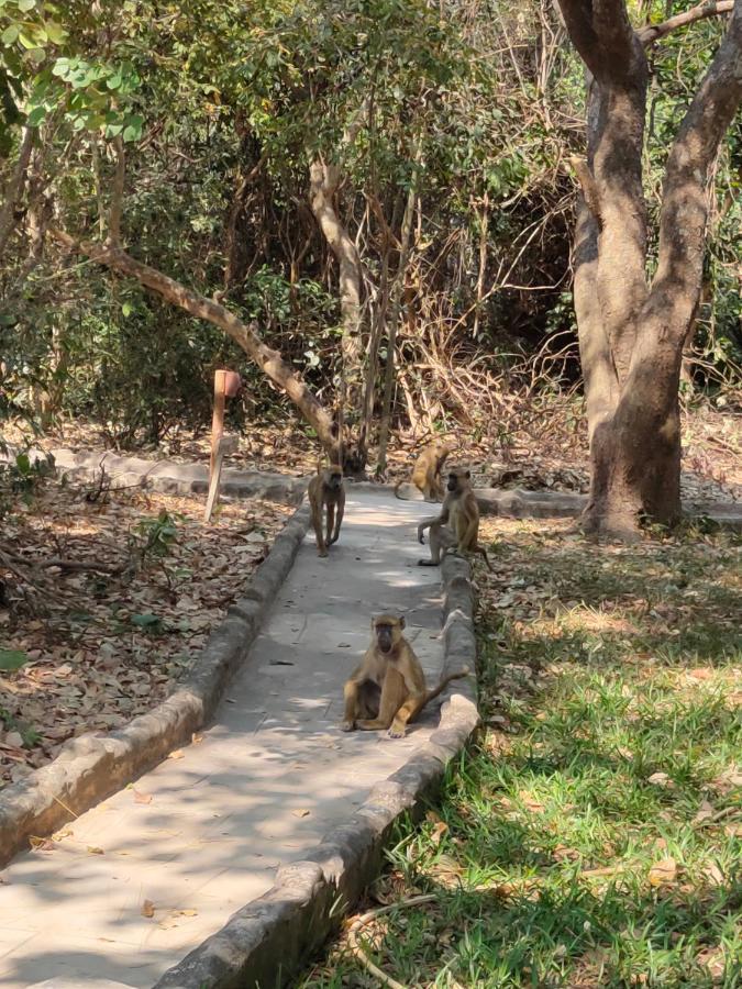 Selous Kinga Lodge Kwangwazi Bagian luar foto