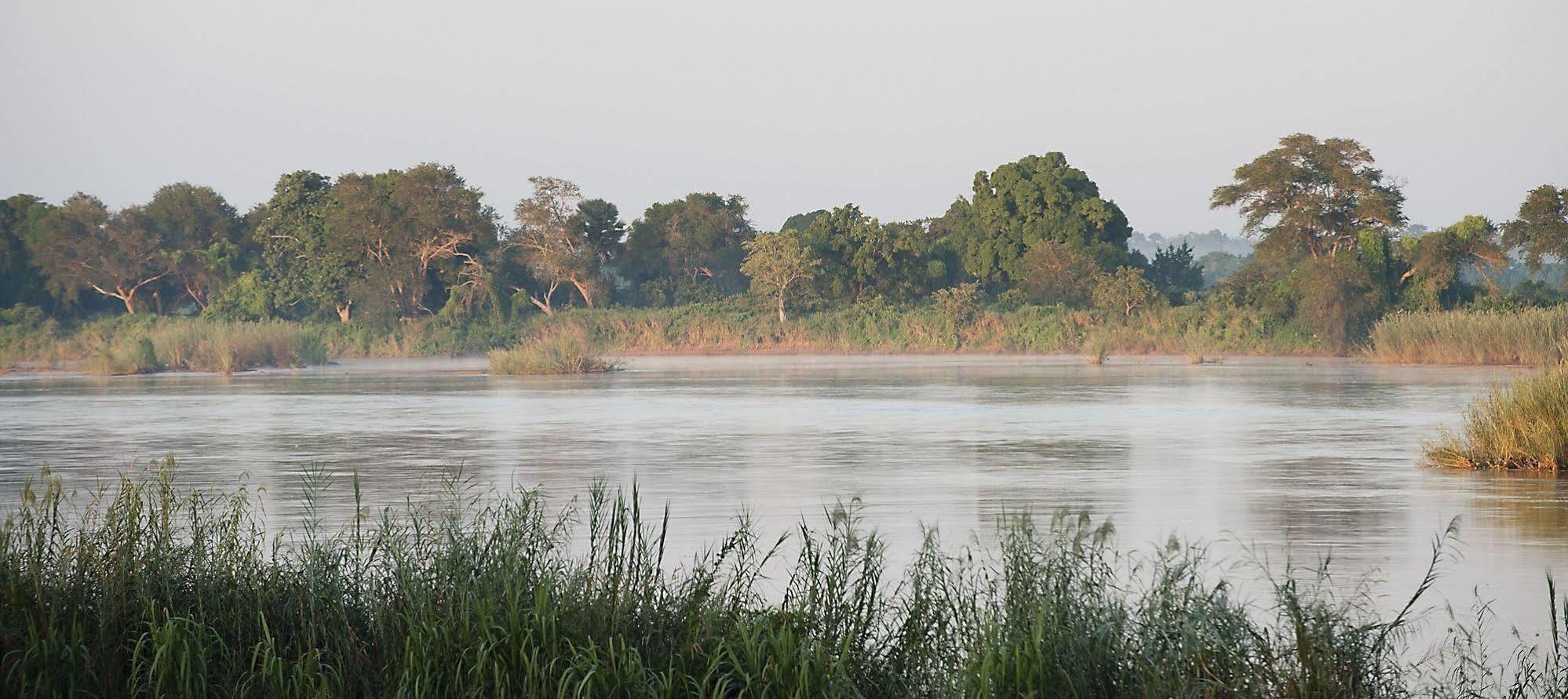 Selous Kinga Lodge Kwangwazi Bagian luar foto