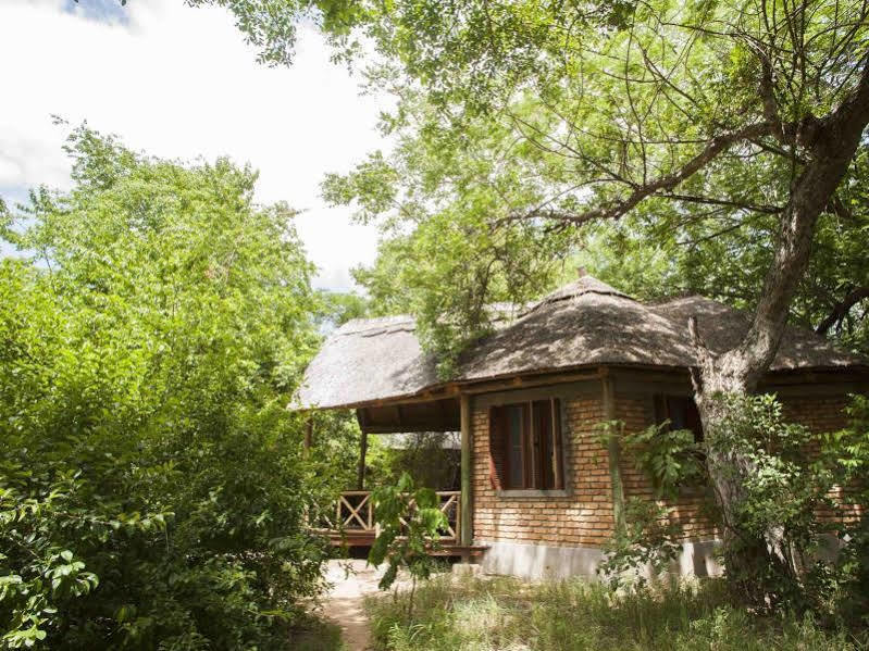 Selous Kinga Lodge Kwangwazi Bagian luar foto