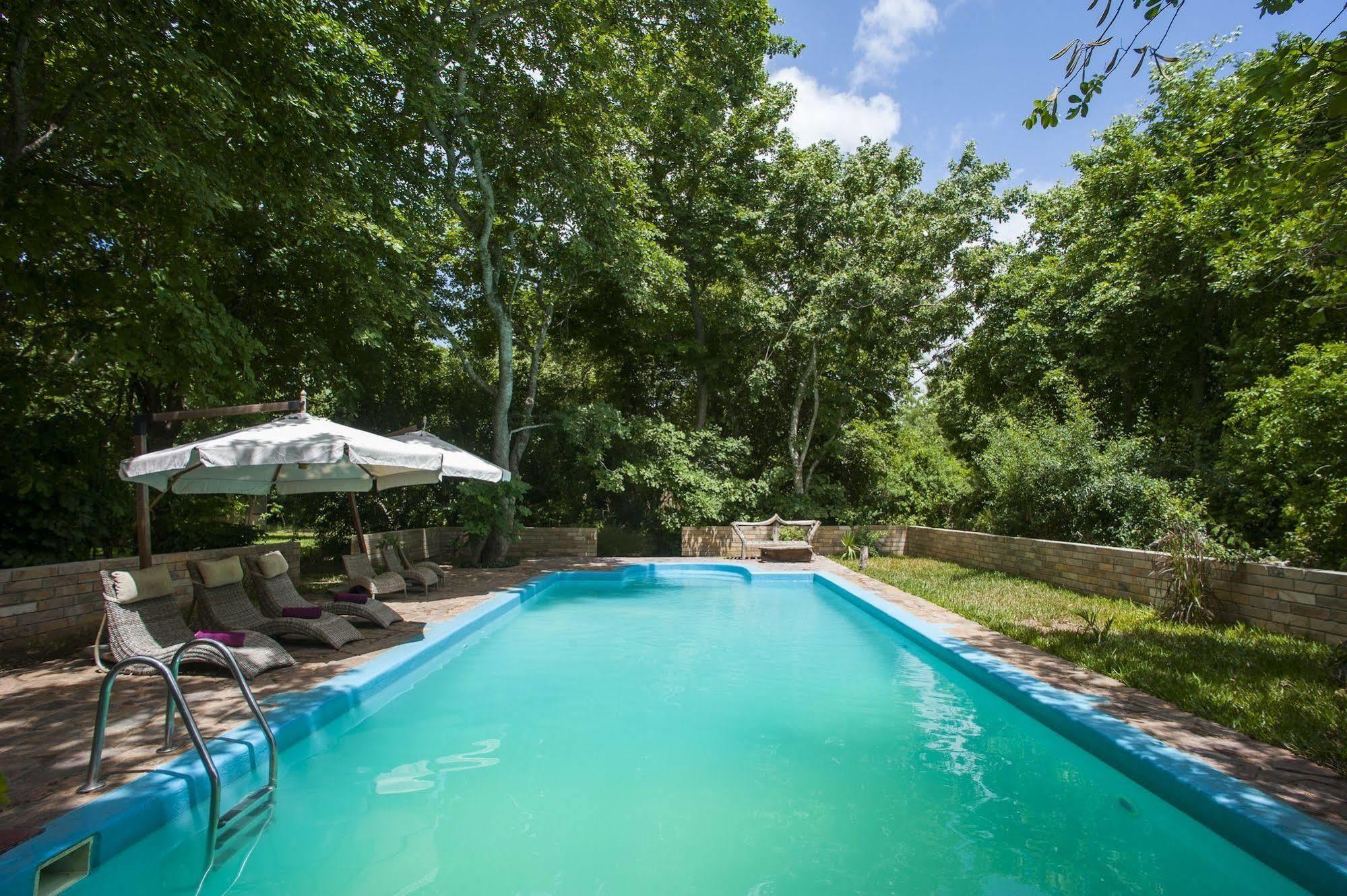 Selous Kinga Lodge Kwangwazi Bagian luar foto